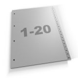 Standard Register 1-20, A4, grau oder weiß, Polypropylen (420 Za Eu)